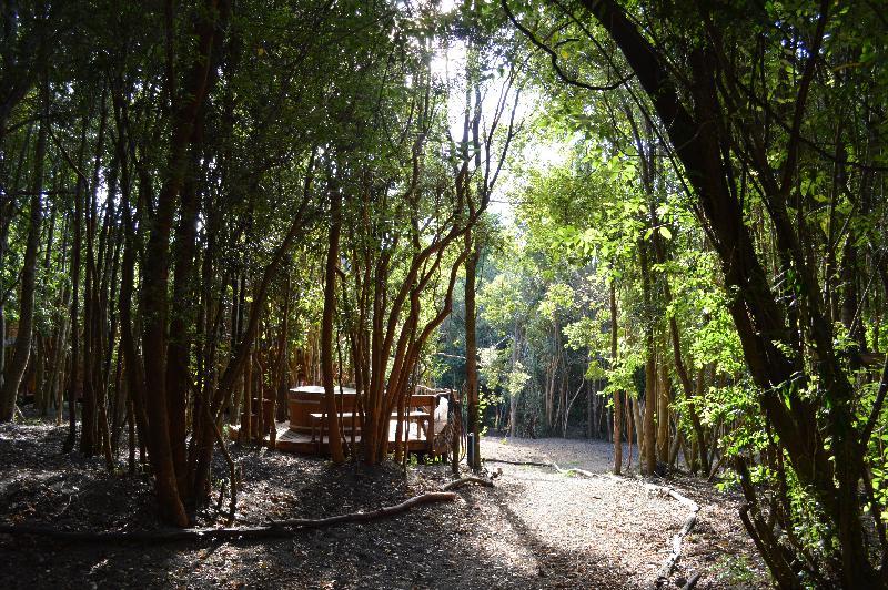 Hôtel Cabanas Ensenada Bosque Nativo à Puerto Varas Extérieur photo